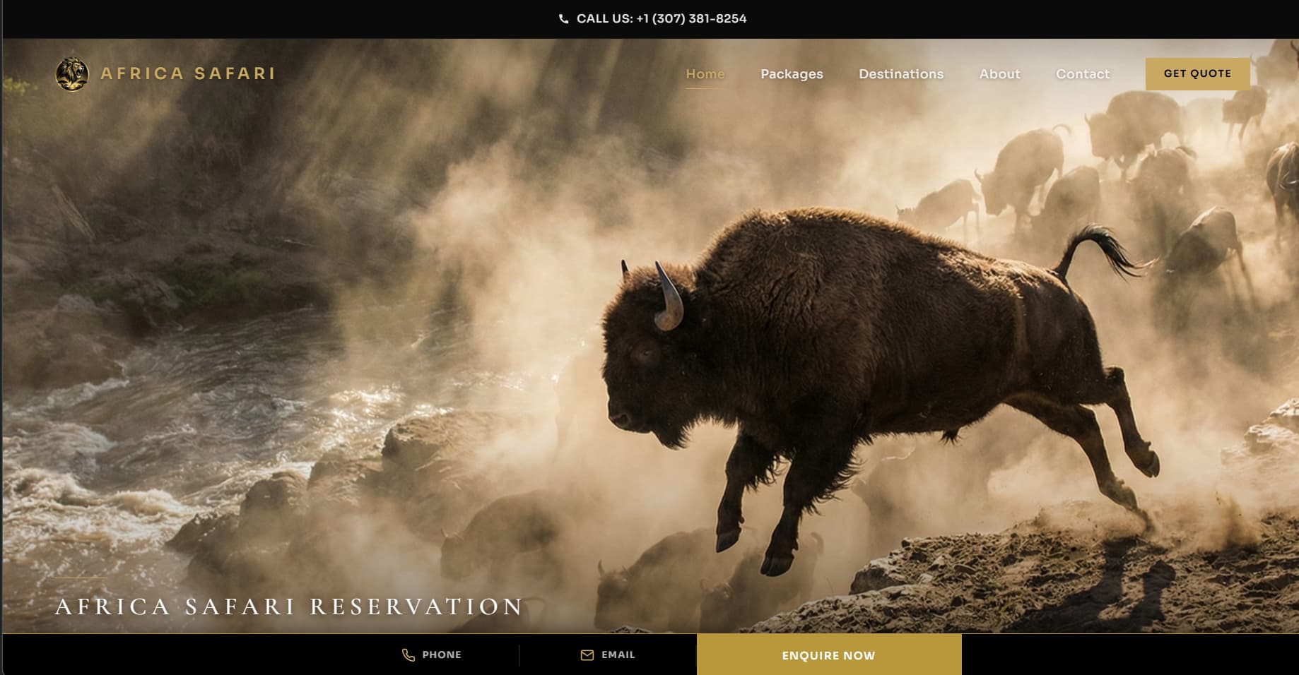 Screenshot of Africa Safari Reservation